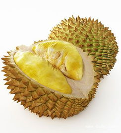 榴莲要怎样才能熟，猫山王冷冻榴莲怎么吃