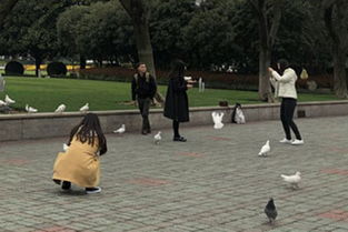 微拍上面提示审核微拍是什么意思呀？