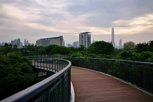 蝉游记里的游记，怎么收藏啊？