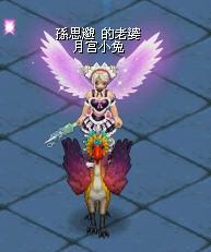 qq号码申请注册