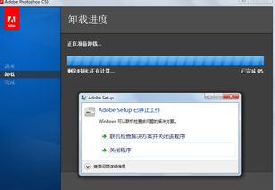 adobe是什么?有什么用?