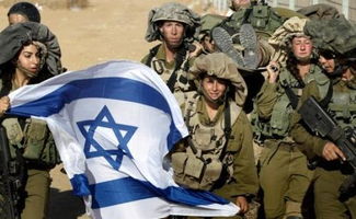 打仗的电视剧有哪些特别好看的