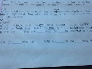 腿英语怎么读 单词