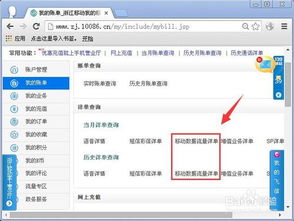 中国移动查询流量怎么查的