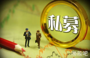 私募公司排名前十强