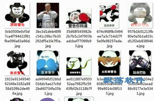 泰拳警告是什么梗