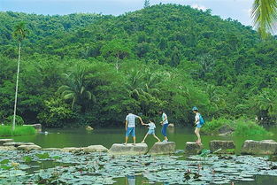 保亭网站建设,保亭政府网
