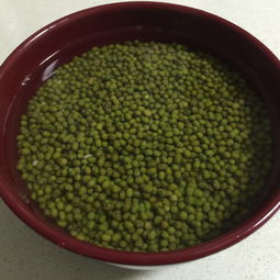 绿豆沙怎么做出沙沙的感觉，绿豆沙怎么做好吃又浓稠