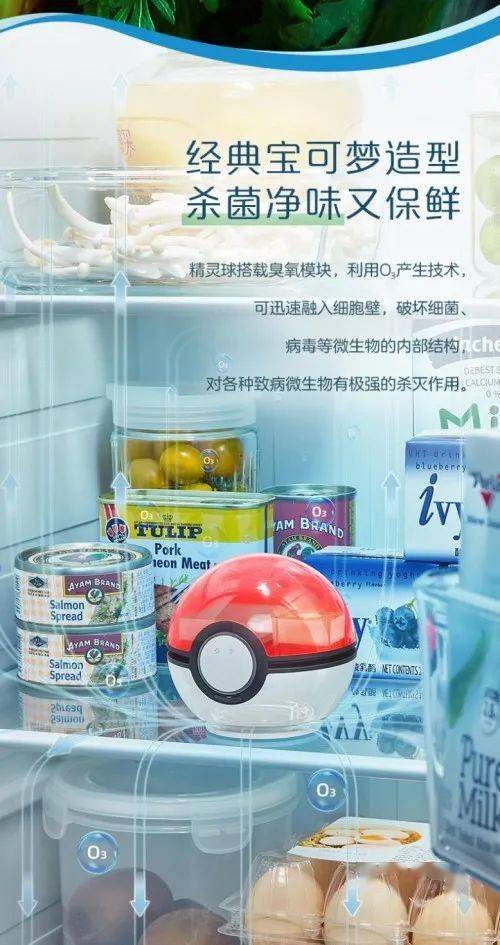 冰箱停电肉腐臭味怎么去除