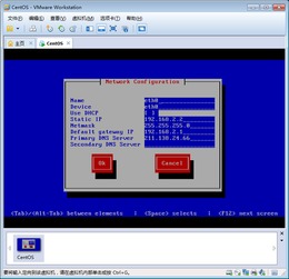 vmware虚拟机怎么连网络