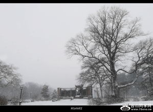 华为的冬天是哪年写的