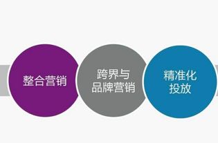 2018年整合营销经典案例分析