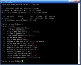 linux格式化命令