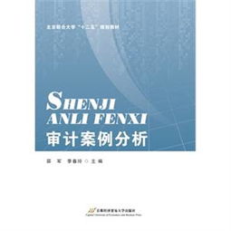 审计案例分析3000字