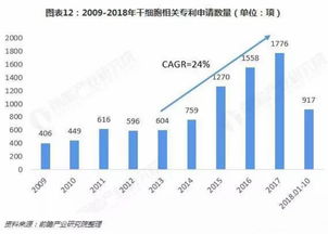 有什么项目市场潜力大？