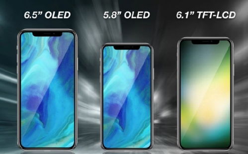 苹果x长多少厘米