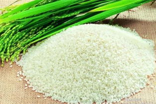 粳米和大米的区别图片