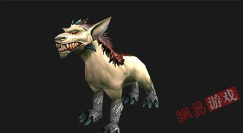 魔兽世界猎人宠物大全