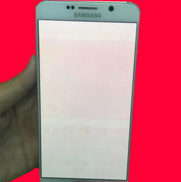 OLED屏是什么意思