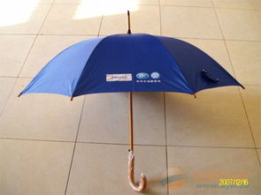 小雨伞是什么意思？