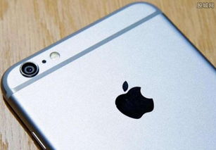 苹果手机怎么查是不是新机