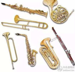 乐器大全图片,乐器大全名称