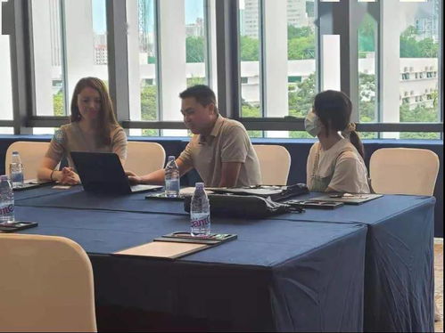 西班牙语，不要给我谷歌翻译！！我要解释！ 什么是