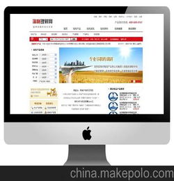 网站建设主要有哪几种类型