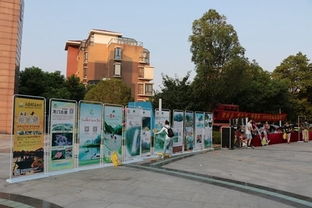 试分析社区旅游，社区参与，社区增权等概念之间的