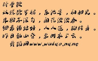 词牌名是什么？？