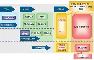 tdlte上网费是什么意思,tdlte手机