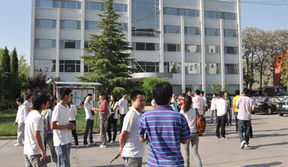 有什么好的发财项目