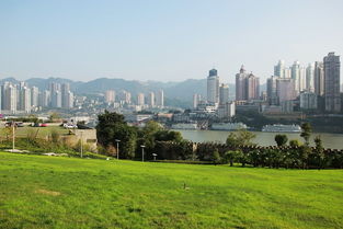 高分求重庆本地的论坛，最好比较火的！