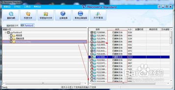 数据丢失是什么意思？
