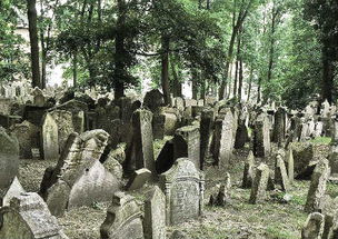 梦见好多坟谷堆啥意思