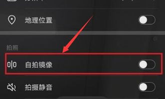 华为手机镜像投屏功能在哪，华为手机怎么把照片镜像翻转