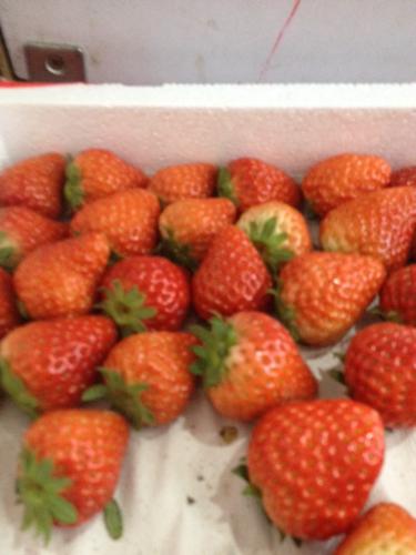 草莓有酒味是什么原因引起的