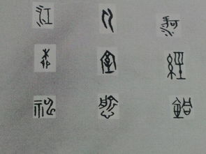 古文字翻译器拍照