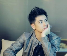 林志颖多大了？