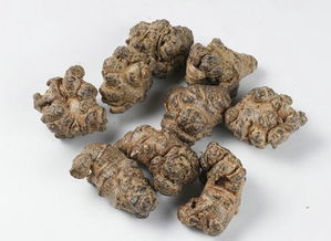 三七有什么功效 它有什么副作用