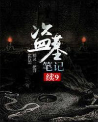 盗墓笔记txt完整版免费下载,盗墓笔记txt完整版