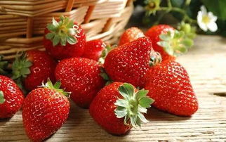 草莓节是几月几号,草莓节活动策划方案