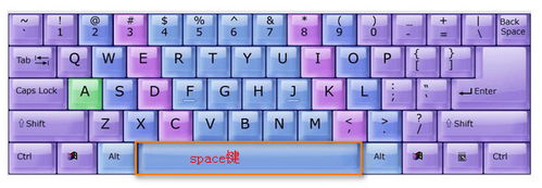 全选的快捷键是什么？