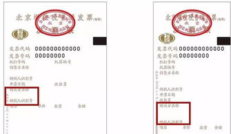 纳税人识别号是什么?,纳税人识别号是什么哪里可以查到