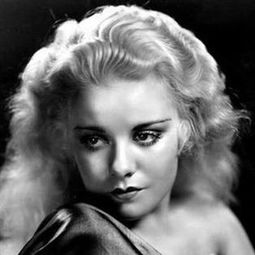 marsh harrier,marsh king