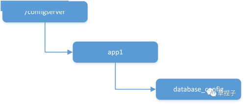 什么是配置管理