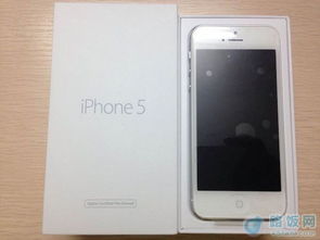 怎么鉴别苹果官翻机？置换机？？