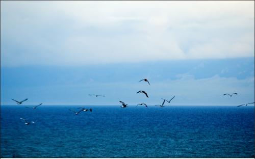 旖旎意思相近的词语