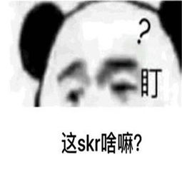 男生说skr是什么意思？