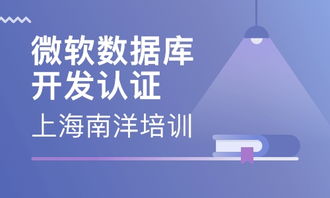 软件工程师培训什么
